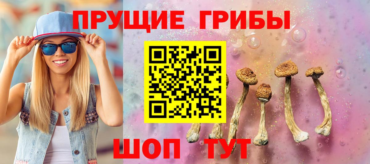 Галлюциногенные грибы мицелий Норильск